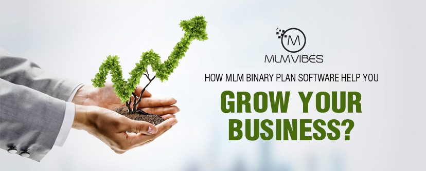 MLM Binary Plan Software